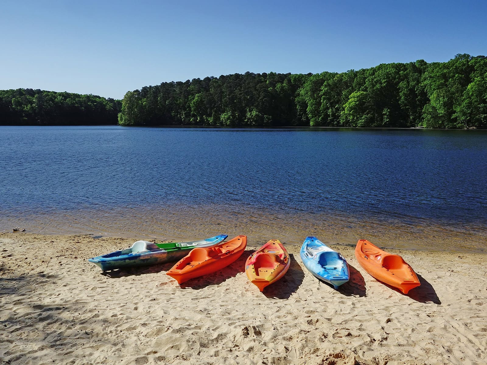 Popular Parks & Recreation In Raleigh NC