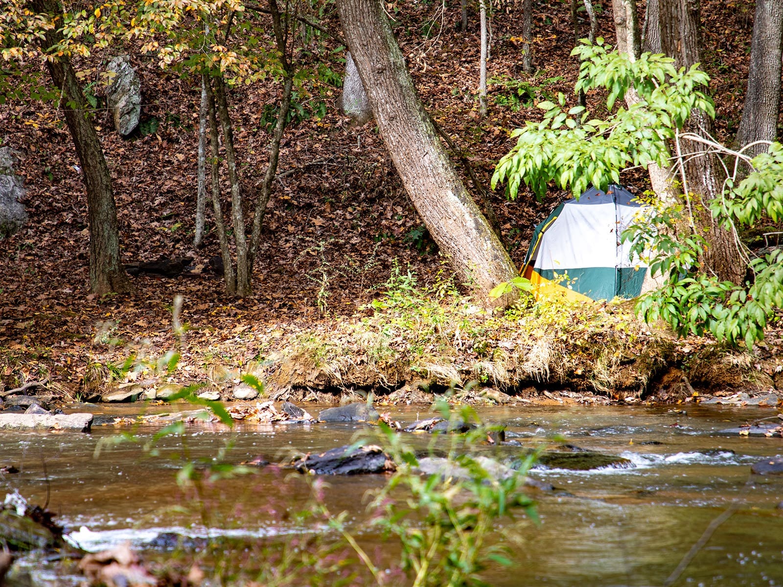 Popular Parks & Recreation In Yadkinville NC