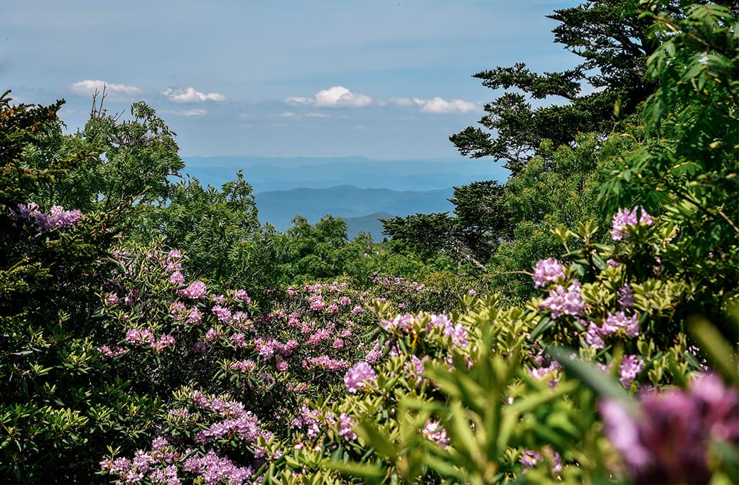 Roanoke’s Prime Location in the Blue Ridge Mountains