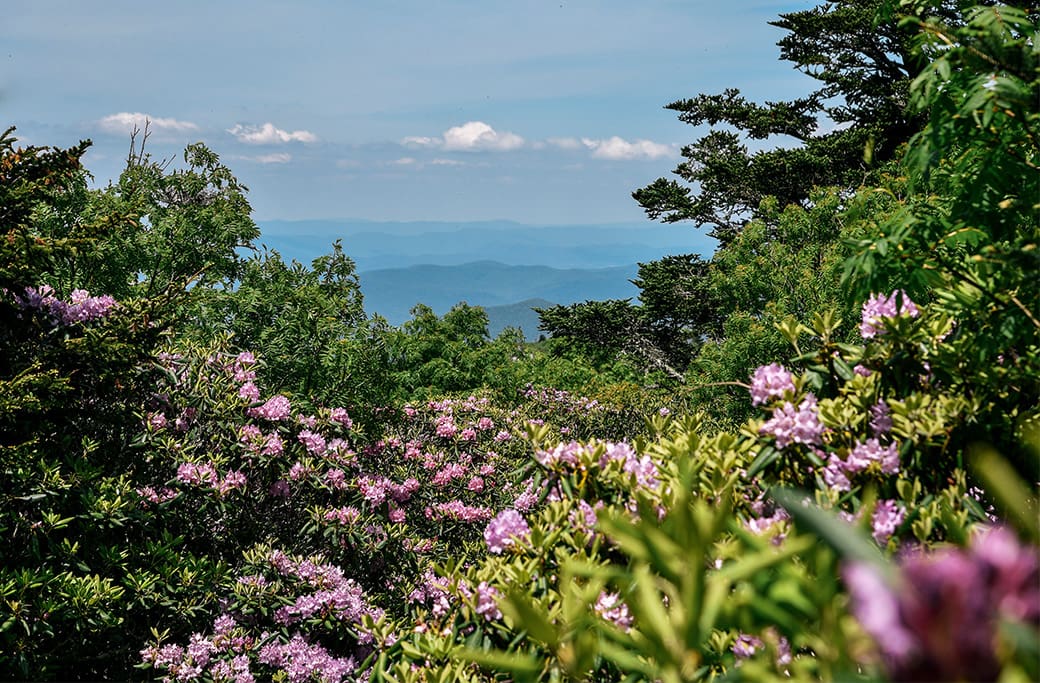 Why Summer in Roanoke is Unbeatable