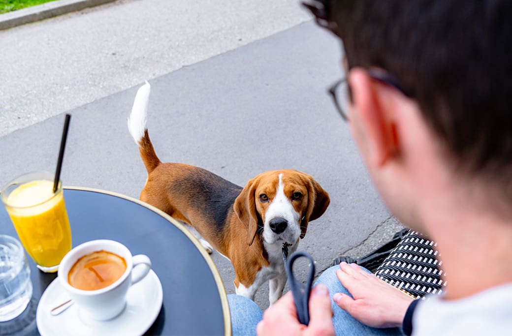 Pet-Friendly Community