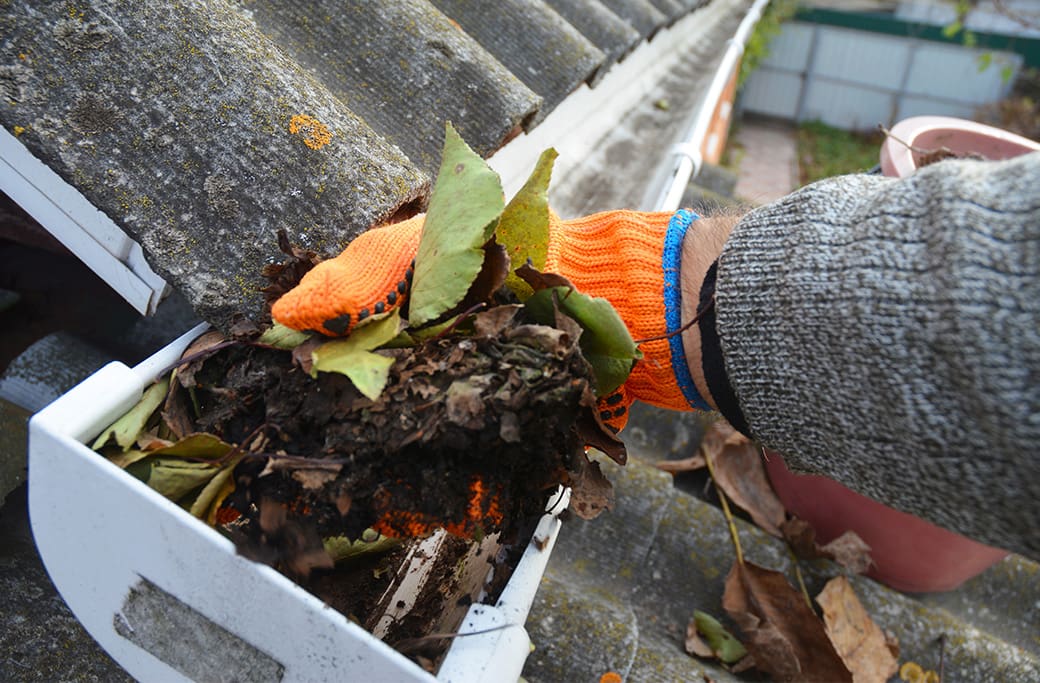 Clean and Maintain Your Gutters