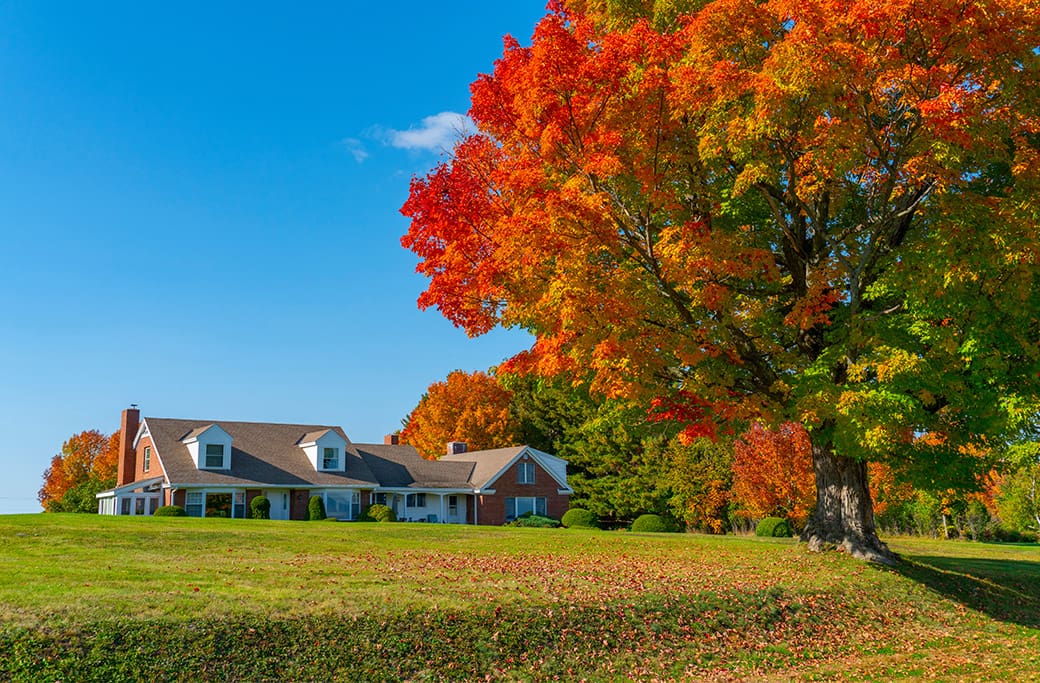 Prepare Your Lawn and Landscape